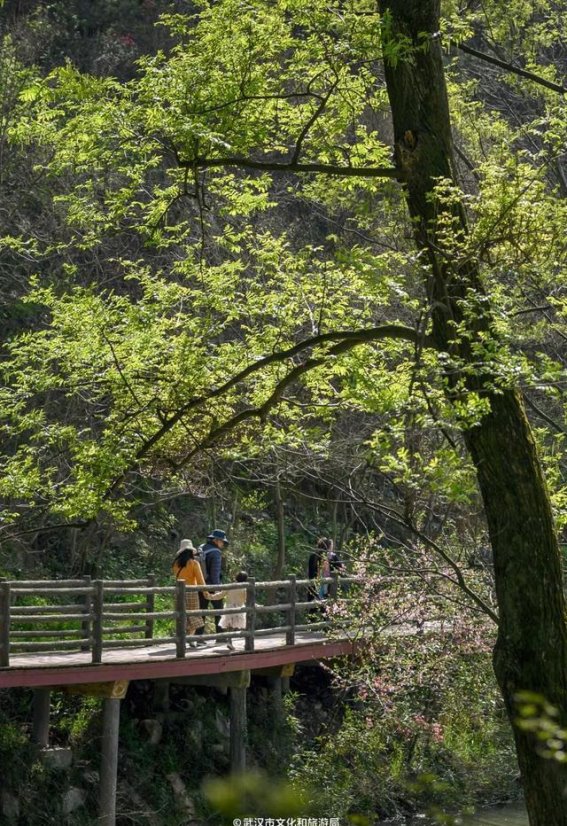 社交网络时代对人际关系的深刻影响