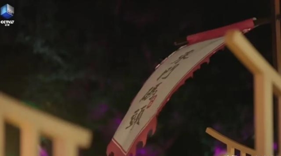 成都：历史脉动与现代生态交织的流动之城