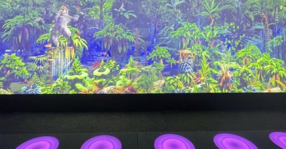 清明假期，探秘珲春的候鸟迁徙与边境风光