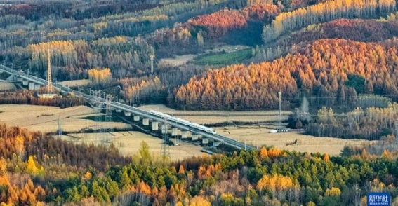 秋韵醉人，红叶黄花映神州