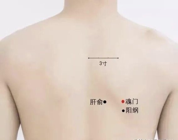 魂门穴：腰背与肝胆双调的关键穴位