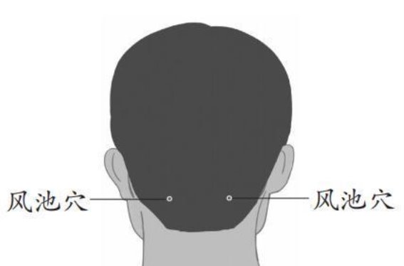 春困来袭，如何通过中医调养重拾活力