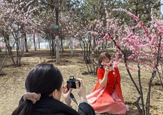 春日里的太原：镜头下的美丽瞬间