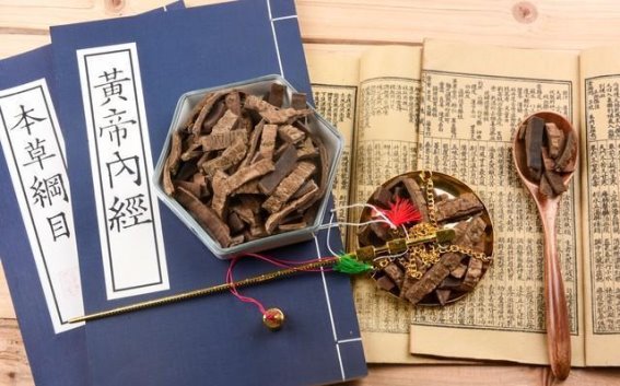 毒蛇咬伤急救五步法：每一步都是生死抉择