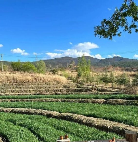 被游客错过的千年古镇，比丽江少商业，比凤凰古城更原始