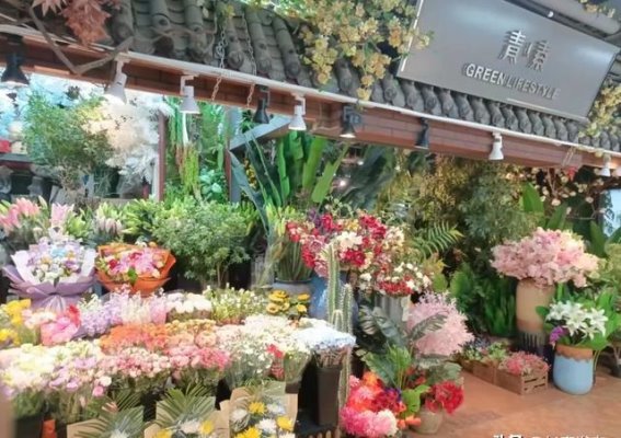 走进长春的绿色秘境——青怡坊花鸟鱼综合市场