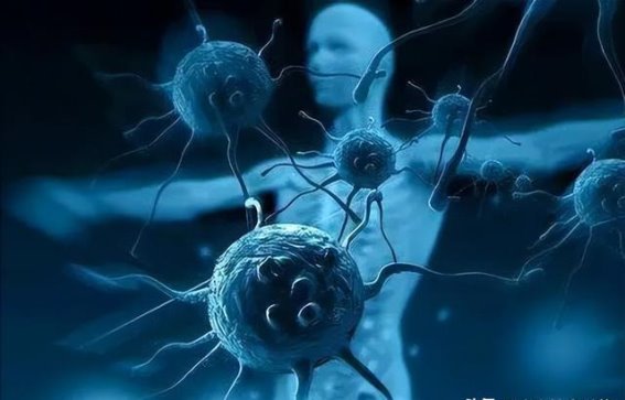 长期不感冒的隐患：免疫力下降与癌症风险的警示