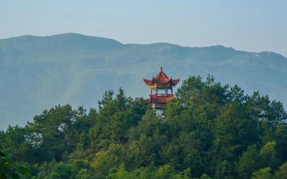 8位国医大师的养生智慧，跟着他们走向健康长寿