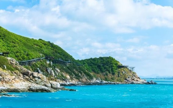 三亚蜈支洲岛潜水全攻略：从新手到高手的海底探秘之旅