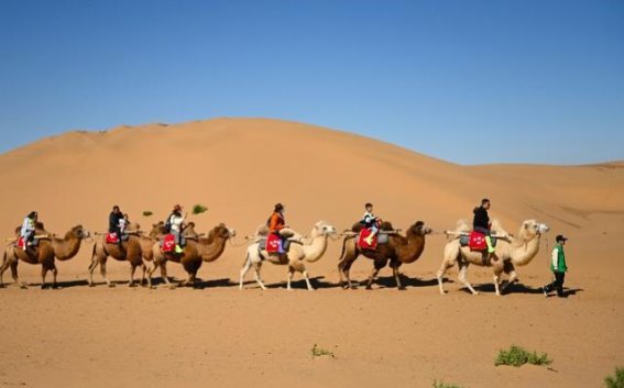 中卫：依托资源优势，数字化转型与文旅融合并行发展