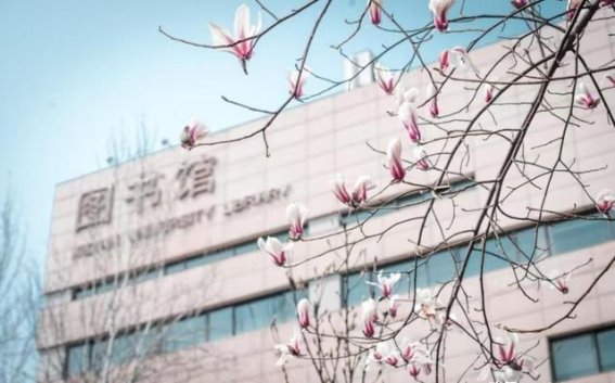 西安高校春日盛景：走进校园的花海与青春