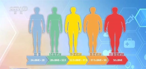 如何甩掉小肚腩？新版减肥指南来了