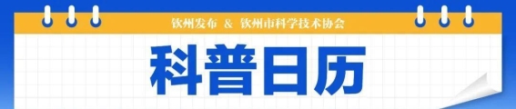 甲型流感防控措施