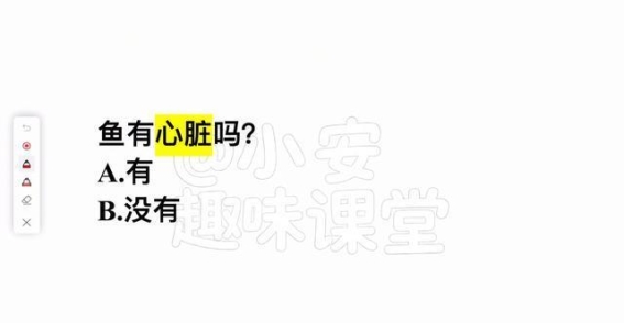 鱼类真的有心脏吗？