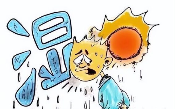 湿热的秘密与调理：仁汤与甘露饮的精妙运用
