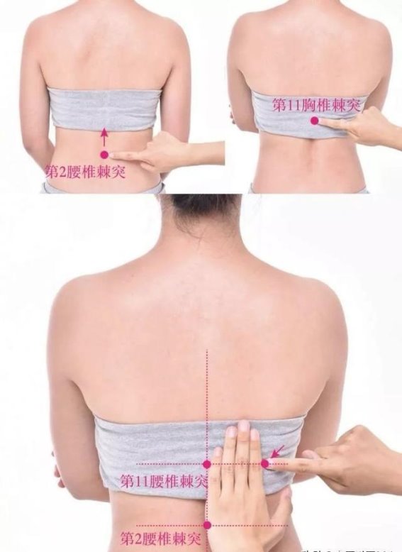 意舍穴：背部调理脾胃的神奇穴位，改善腹胀与背痛的“隐藏法宝”