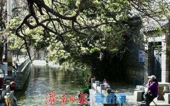 春日里的于家桥：烟火与诗意交织的江南风情