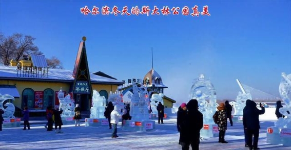 哈尔滨冬日奇观：斯大林公园的冰雪盛宴