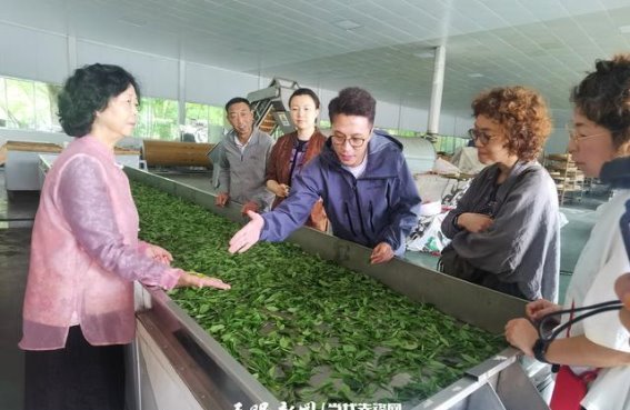 贵州非遗茶技引领日本茶友深度体验