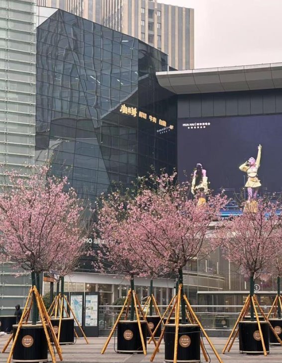 3月6日，东湖樱花园迎来樱花季的华丽开园