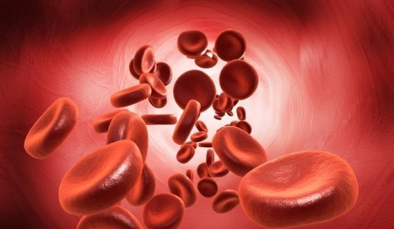 腿上的红血丝可能在提醒你身体的隐性危险