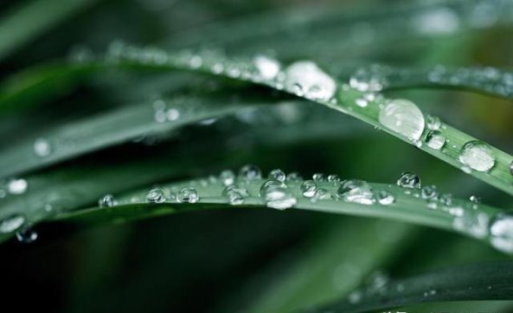 白露节气的健康指南：三不做、三不睡、三不吃的科学解读