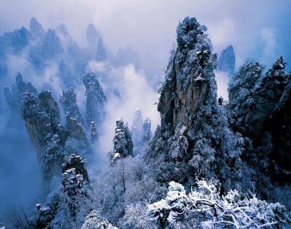 寻找生命的意义——在不确定中找到自我