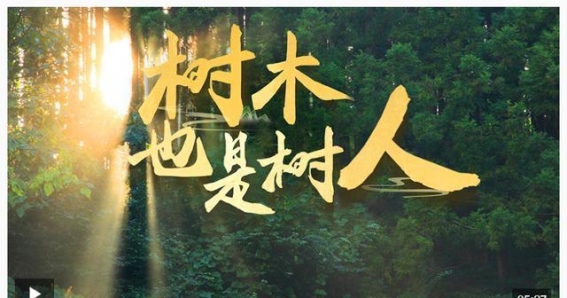 树木与人同成长——习近平总书记的绿色使命