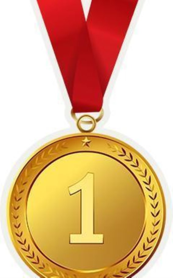 2025年首届长三角城市越野障碍挑战赛：速度与激情的盛宴