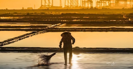 宁波北仑：一座隐秘的小城，静谧之美与味蕾的极致诱惑