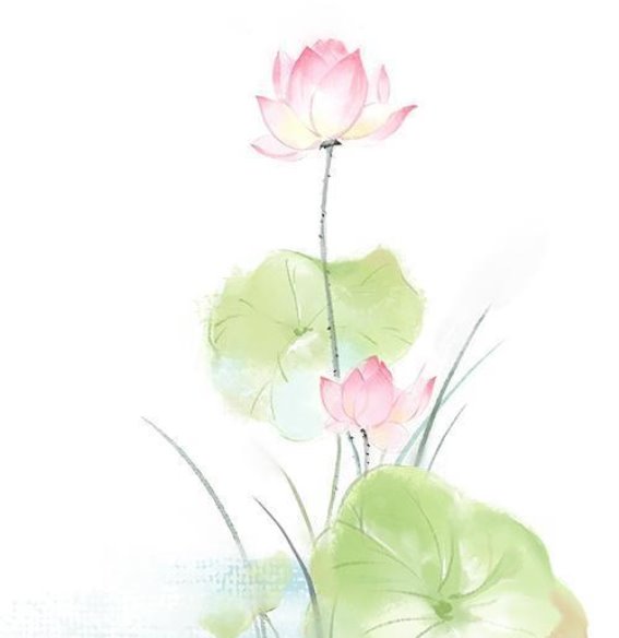 谷雨时节，苏州的春韵与茶香