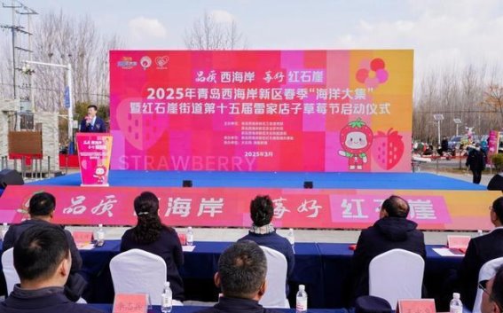 青岛西海岸新区雷家店子草莓节：春日盛会，点亮乡村振兴之路