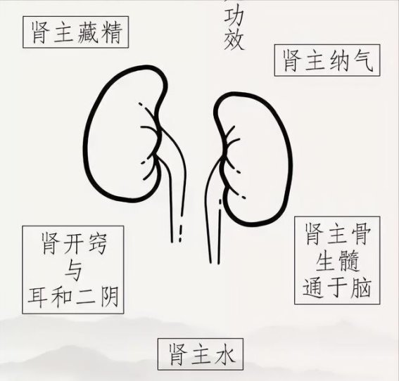 不倒汤，男人健康的秘密武器