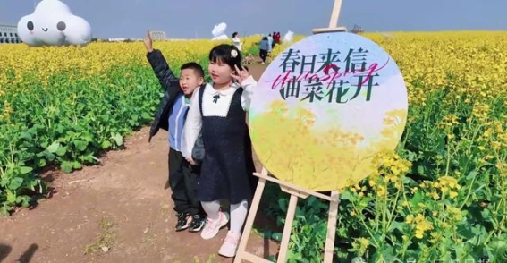 柏临河生态廊道：春风拂过油菜花海，迎接美好生活