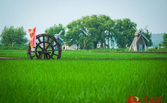 黑龙江：在冰雪与文化中绽放新活力