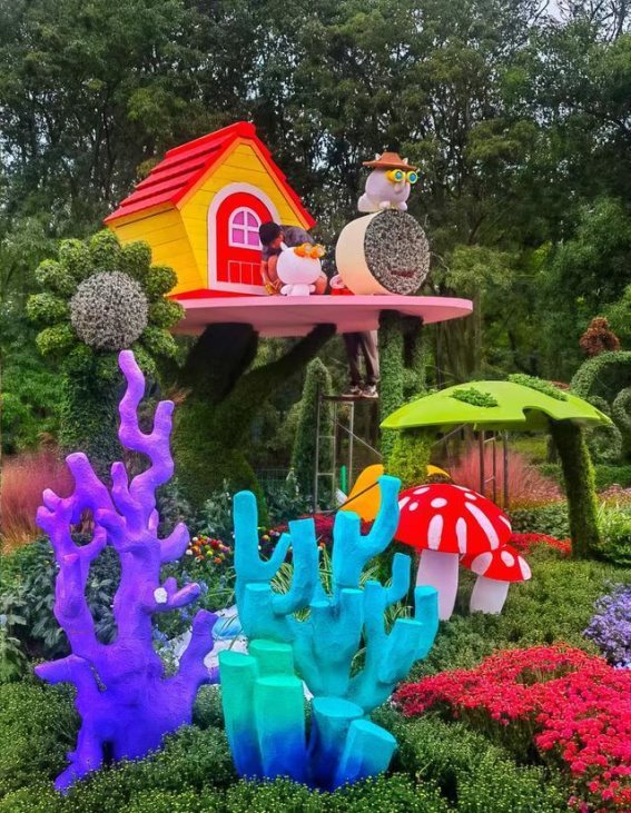 2024年上海菊花展：品金秋菊韵，享美好生活