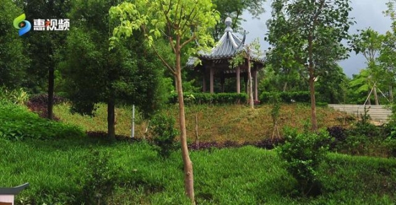 惠州植物园焕新升级，带来全新体验