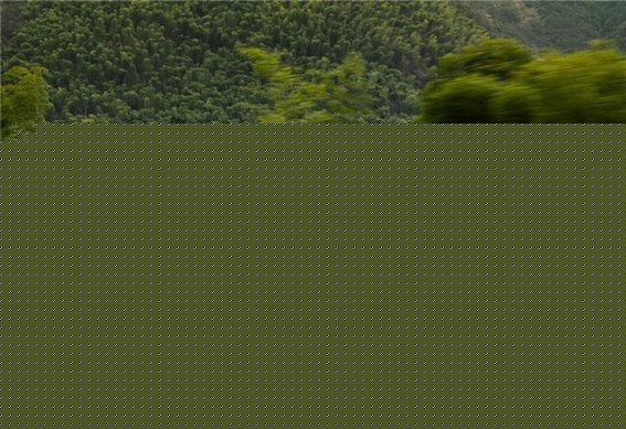 一汽奥迪困局深重：价格下探销量滑坡，正统之争能否挽回信任