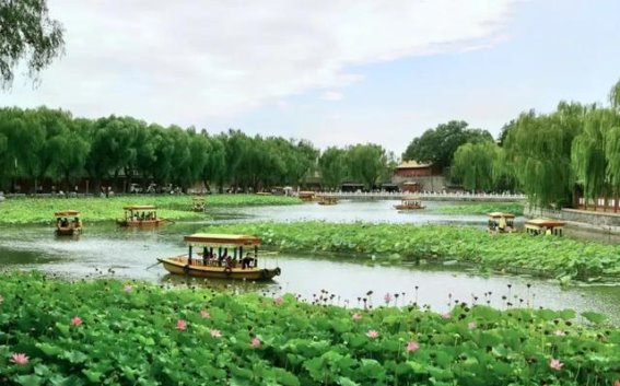 春日游船，畅游北京的美丽公园