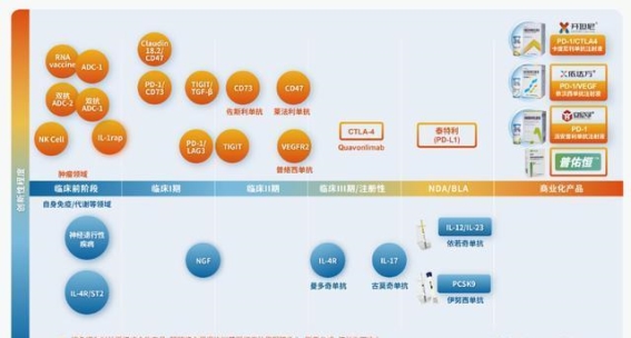 康方生物的下一个辉煌：双抗之路的创新与未来
