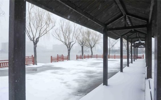 柘城县容湖雪景：一幅冬日的诗意画卷