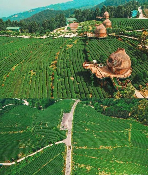 走进重庆永川，感受天花板级别的云瀑与魅力景点