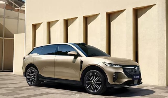 全新岚图知音：智能化加持，引领未来电动SUV新潮流