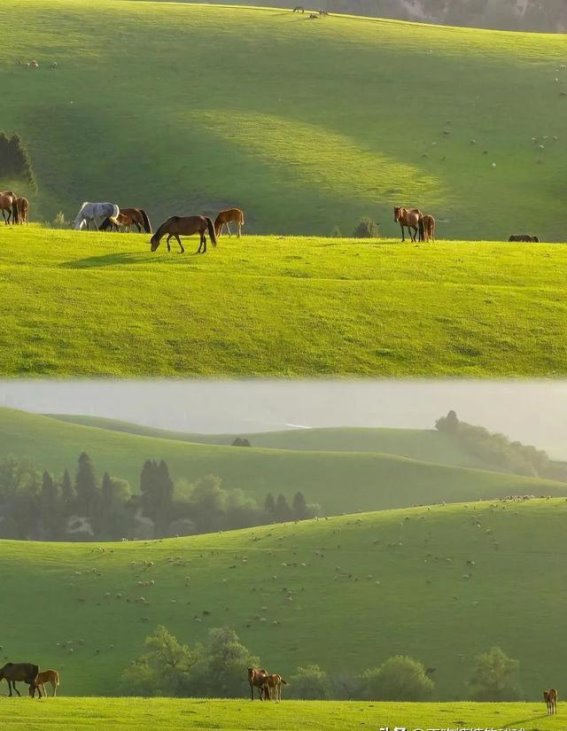 在那拉提草原，释放内心的自由与宁静