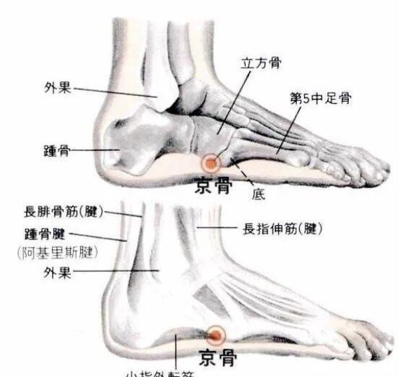 京骨穴完全指南：足背小穴的头痛缓解与足部调养秘籍