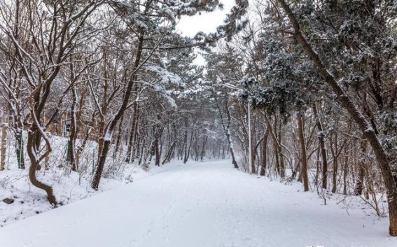 大雪时节，牢记这几条健康准则，冬天不再冷