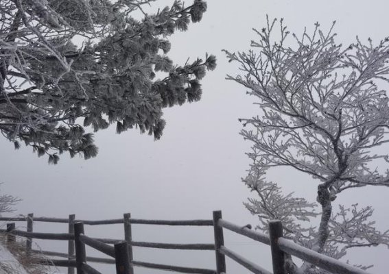 河南老君山尧山景区首场降雪，游客畅游雪海乐趣无穷