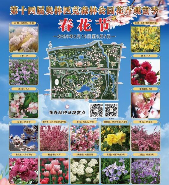 春光中绽放的花海，奥森春花节与你共赴