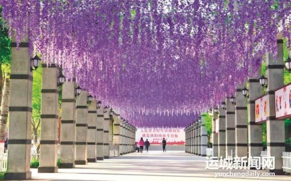 城市公园新风貌：十大主题公园建设前景