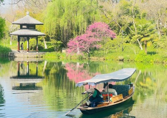 茅家埠：西湖春日的静谧秘境